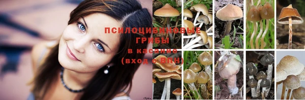 тгк Нефтегорск