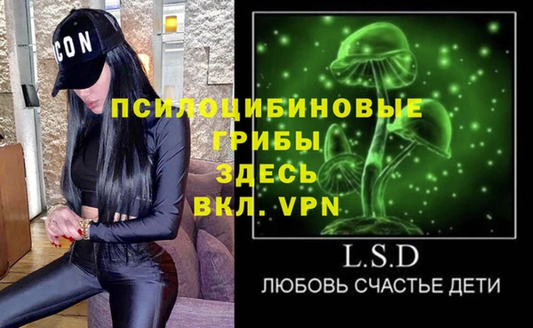 МДПВ Абаза