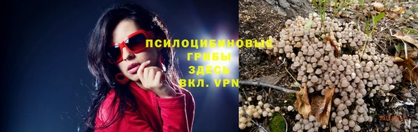 молекула духа Абинск